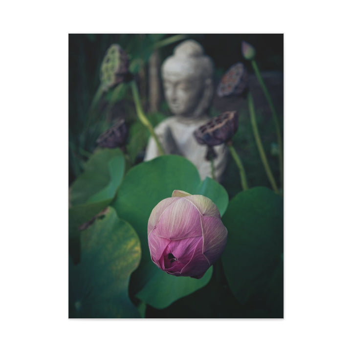 Serene Lotus - Modern Oasis Sensory Design & Art Studio - Canvas