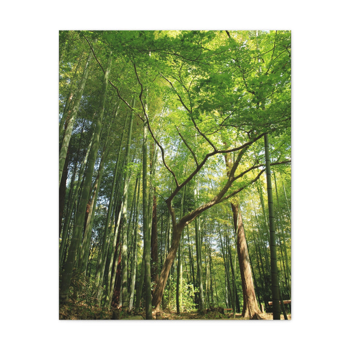 Green Bamboo Forest - Modern Oasis Sensory Design & Art Studio - Canvas