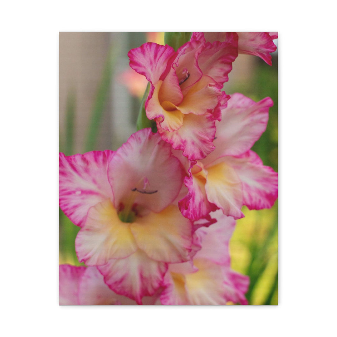 Velvet Bloom - Modern Oasis Sensory Design & Art Studio - Canvas