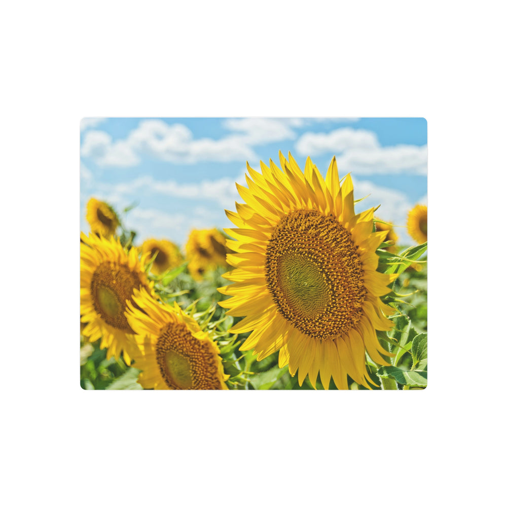Sunflower Radiance Metal Art - Modern Oasis Sensory Design & Art Studio - Home Decor