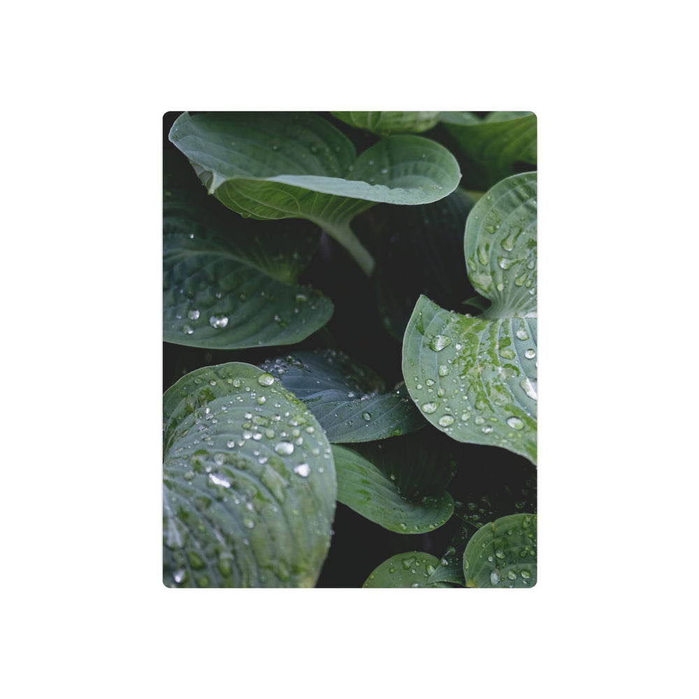 Tranquil Leaves Metal Art - Modern Oasis Sensory Design & Art Studio - Home Decor