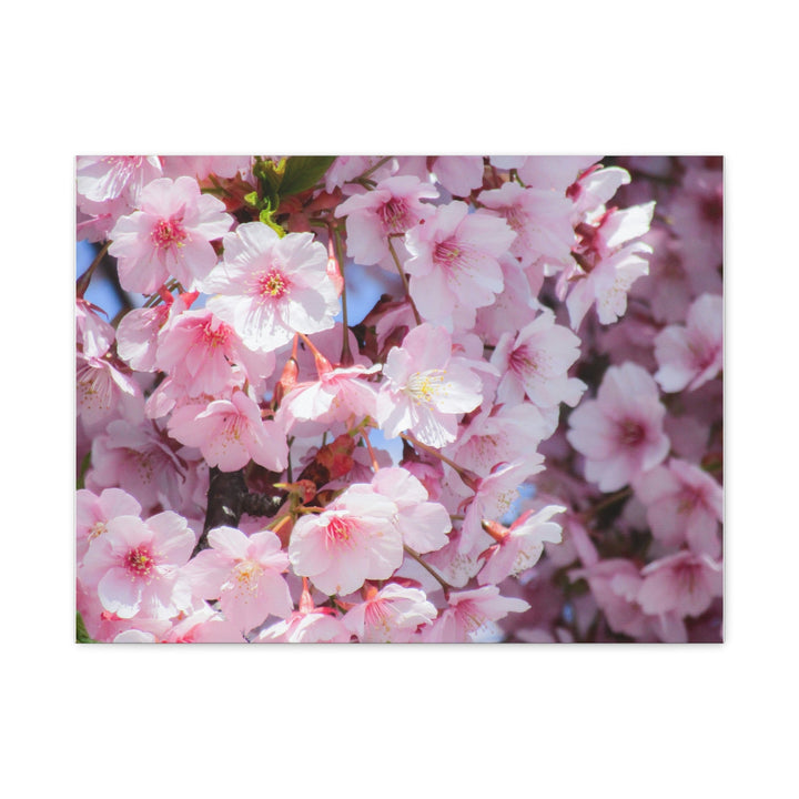 Cherry Blossom - Modern Oasis Sensory Design & Art Studio - Canvas
