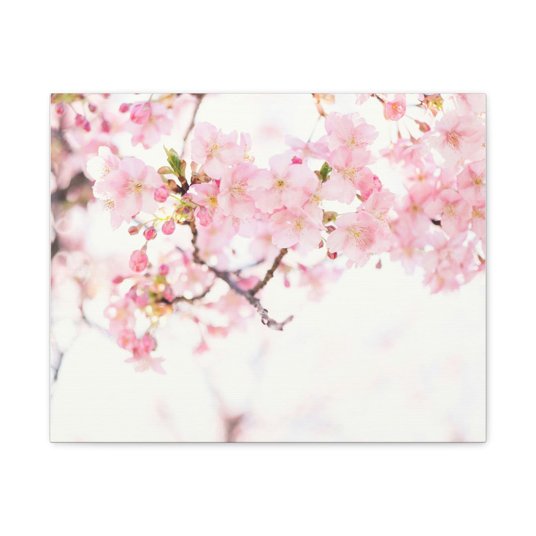 Tranquil Blossom - Modern Oasis Sensory Design & Art Studio - Canvas