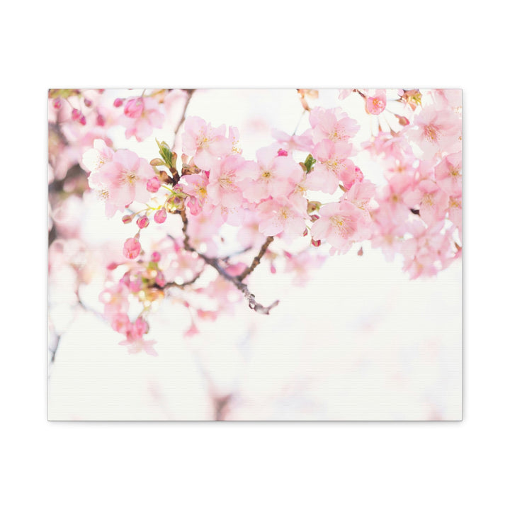 Tranquil Blossom - Modern Oasis Sensory Design & Art Studio - Canvas