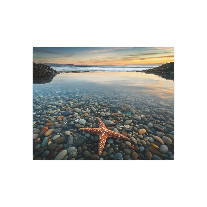 Starfish Calm Metal Art - Modern Oasis Sensory Design & Art Studio - Home Decor