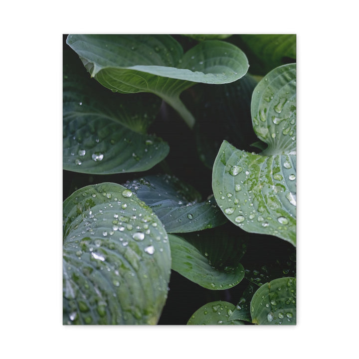 Tranquil Leaves - Modern Oasis Sensory Design & Art Studio - Canvas