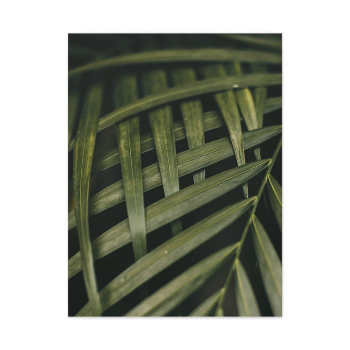 Botanical Green Leaves - Modern Oasis Sensory Design & Art Studio - Canvas
