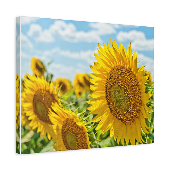 Sunflower Radiance - Modern Oasis Sensory Design & Art Studio - Canvas