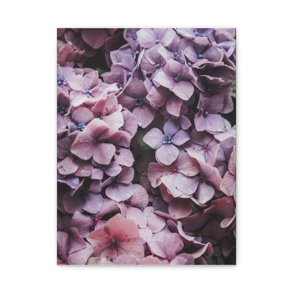 Blooming Purple Flowers - Modern Oasis Sensory Design & Art Studio - Canvas