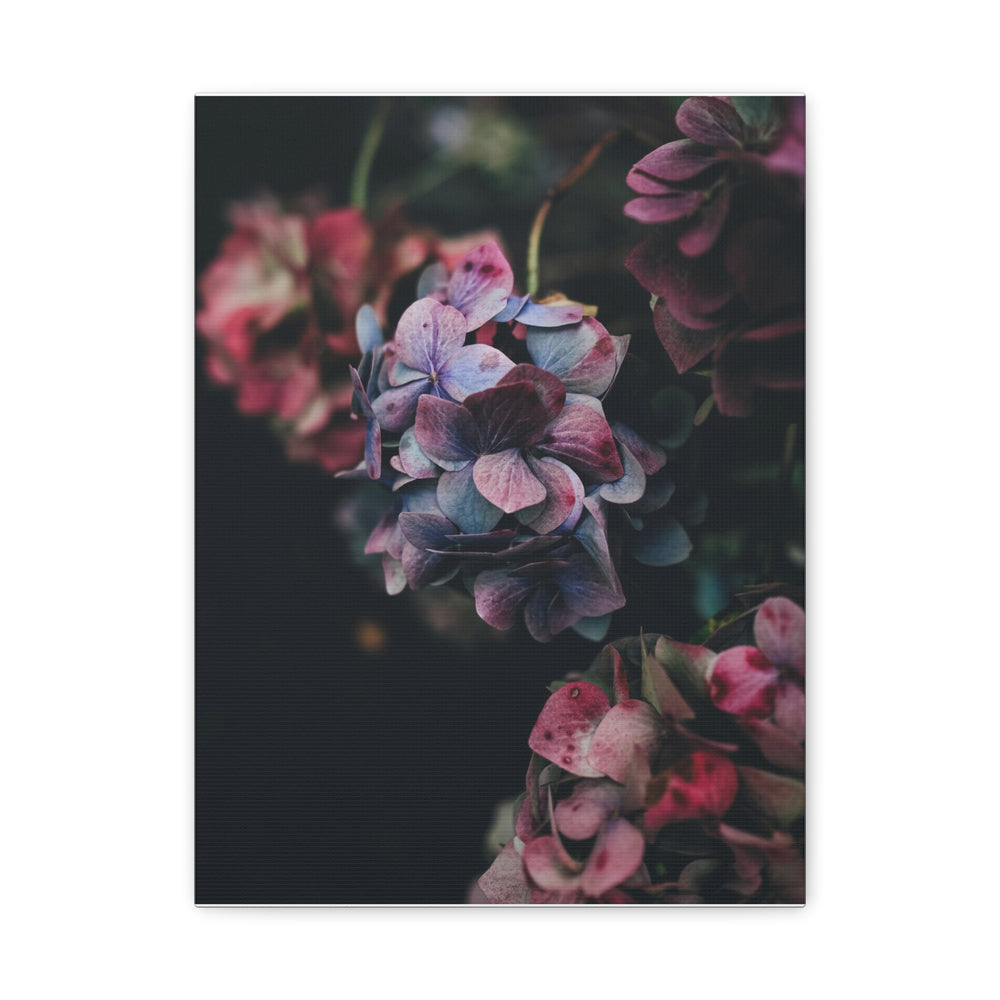Soft Meadow - Modern Oasis Sensory Design & Art Studio - Canvas