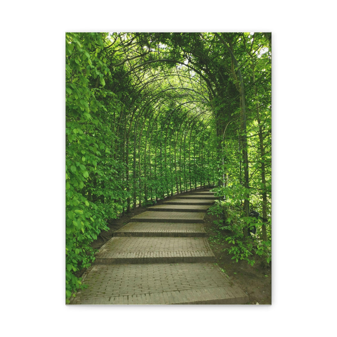 Serene Green Path - Modern Oasis Sensory Design & Art Studio - Canvas