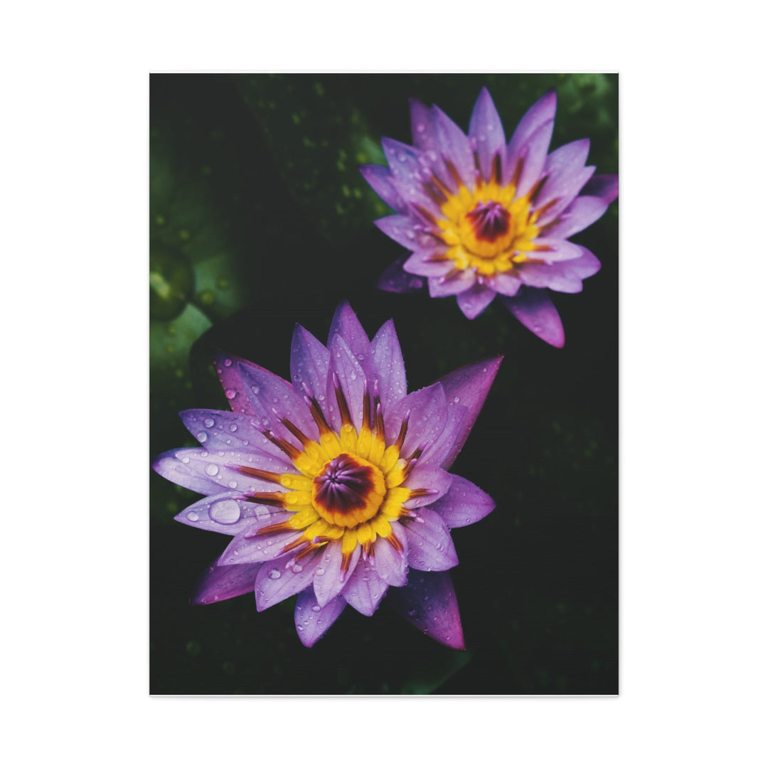 Beautiful Floral - Modern Oasis Sensory Design & Art Studio - Canvas