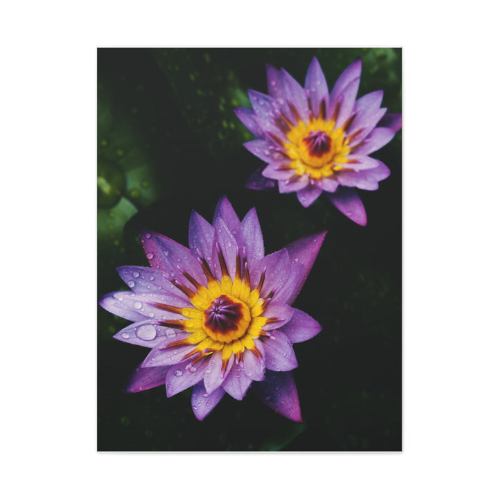 Beautiful Floral - Modern Oasis Sensory Design & Art Studio - Canvas