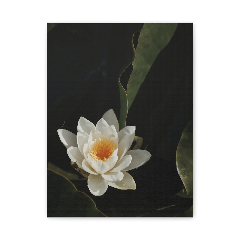White Lotus - Modern Oasis Sensory Design & Art Studio - Canvas
