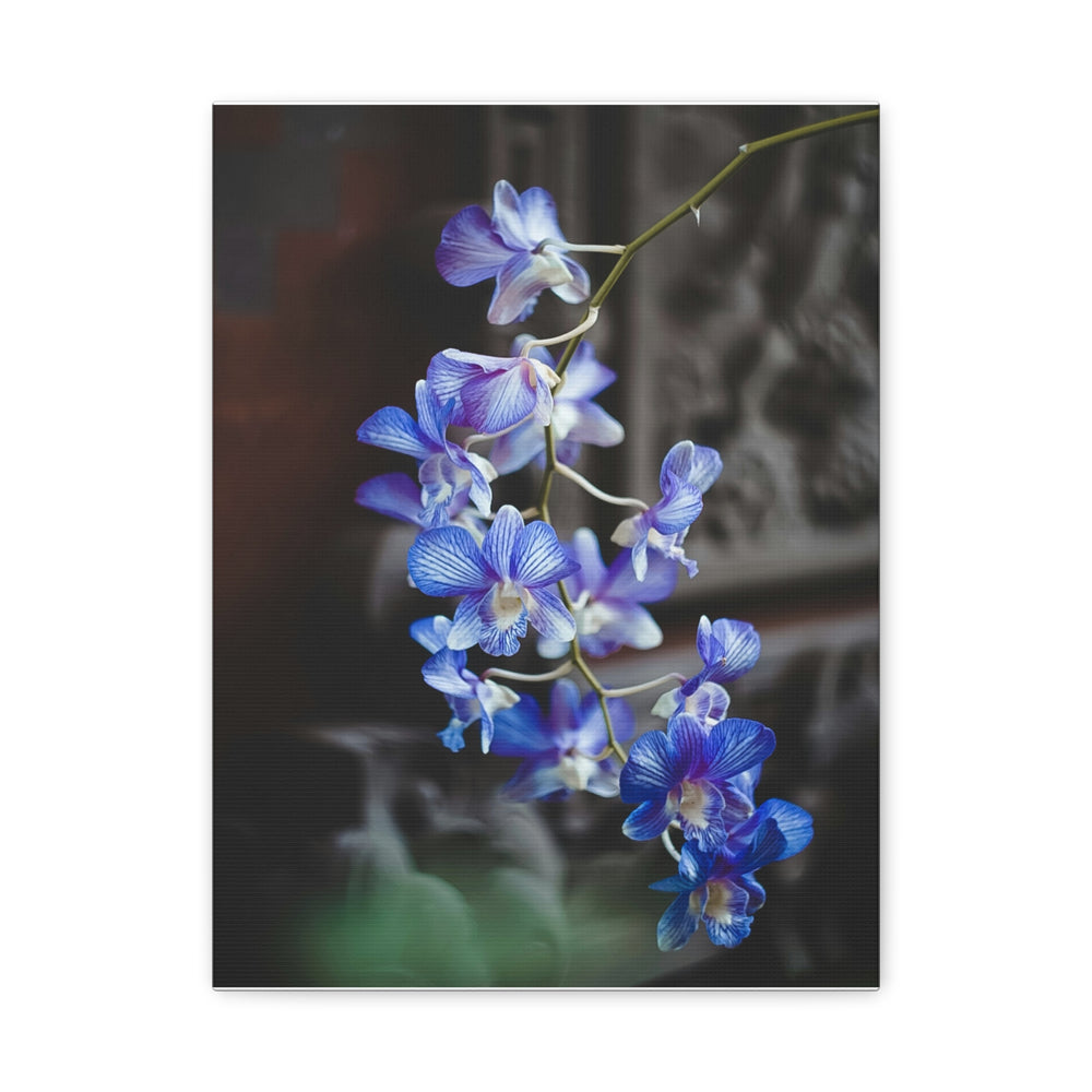 Orchid Blooms - Modern Oasis Sensory Design & Art Studio - Canvas