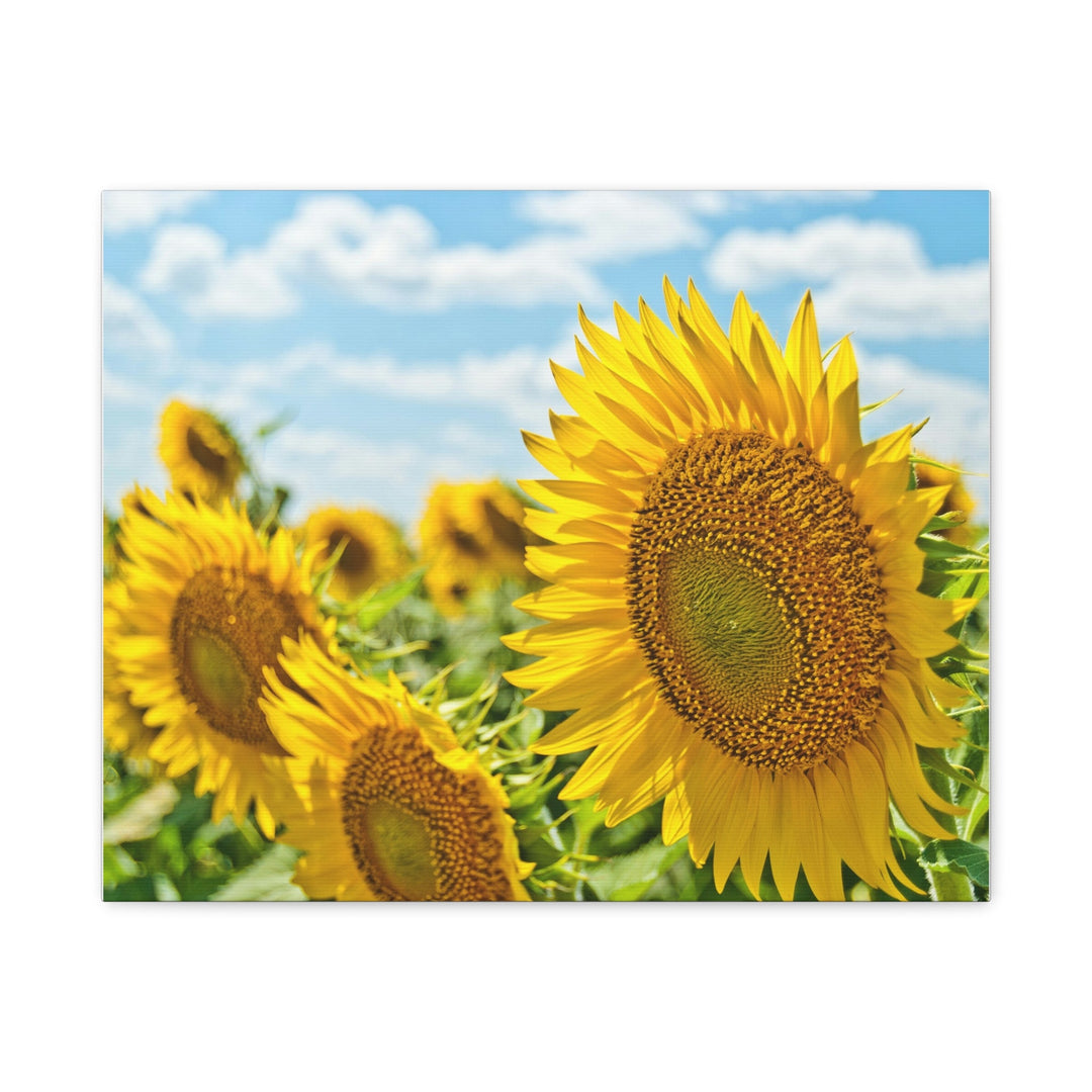Sunflower Radiance - Modern Oasis Sensory Design & Art Studio - Canvas
