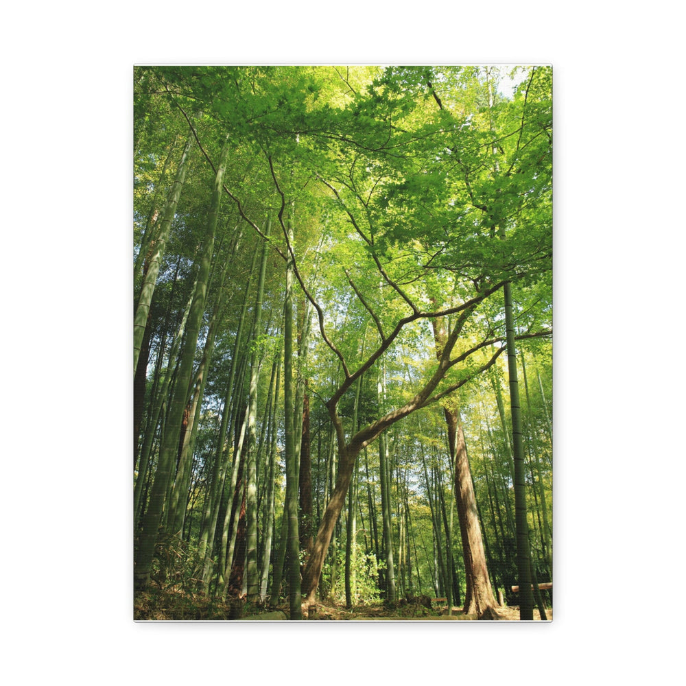 Green Bamboo Forest - Modern Oasis Sensory Design & Art Studio - Canvas