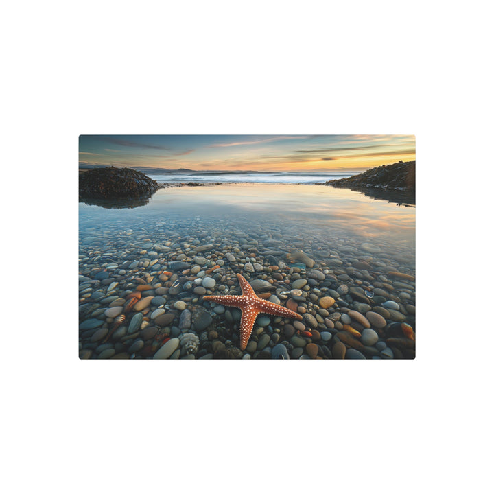 Starfish Calm Metal Art - Modern Oasis Sensory Design & Art Studio - Home Decor