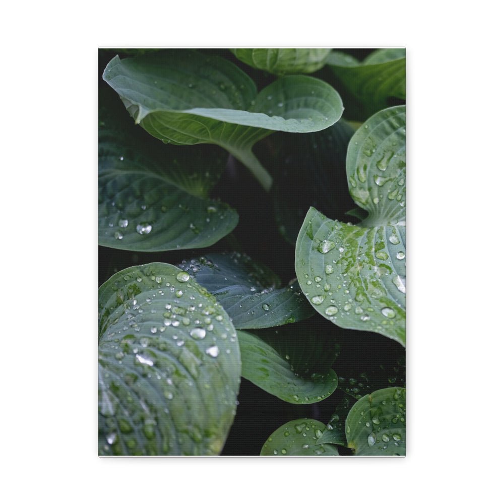 Tranquil Leaves - Modern Oasis Sensory Design & Art Studio - Canvas