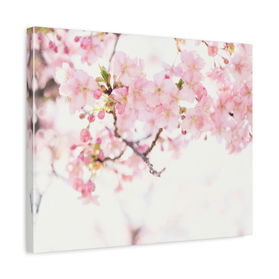 Tranquil Blossom - Modern Oasis Sensory Design & Art Studio - Canvas