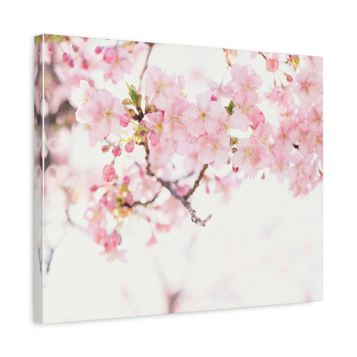 Tranquil Blossom - Modern Oasis Sensory Design & Art Studio - Canvas