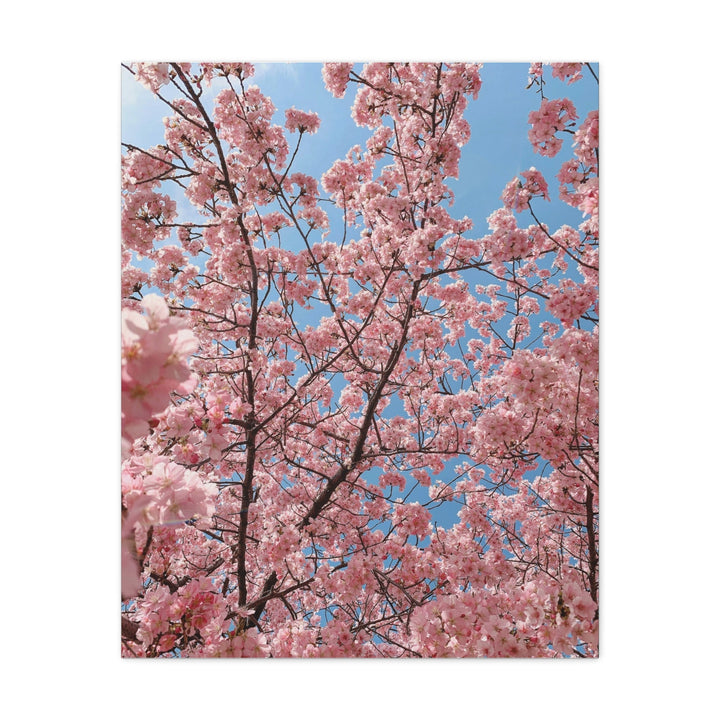 Spring Blossom - Modern Oasis Sensory Design & Art Studio - Canvas