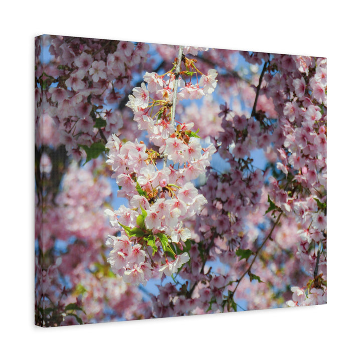 Delicate Blossoms - Modern Oasis Sensory Design & Art Studio - Canvas
