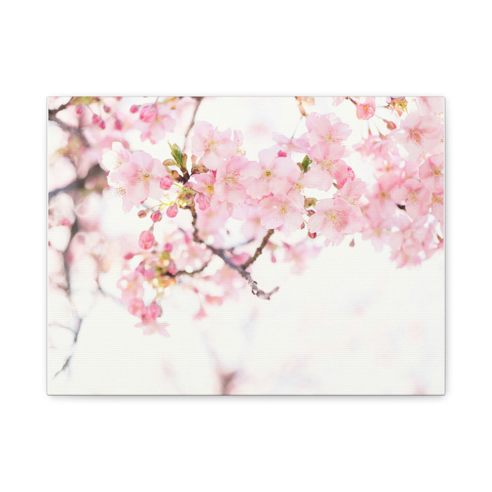 Tranquil Blossom - Modern Oasis Sensory Design & Art Studio - Canvas