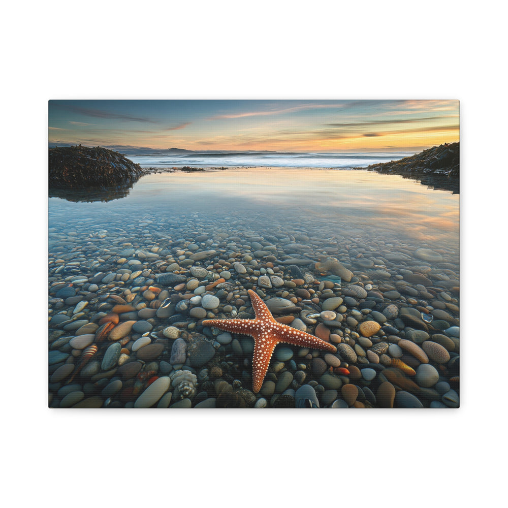 Starfish Calm - Modern Oasis Sensory Design & Art Studio - Canvas
