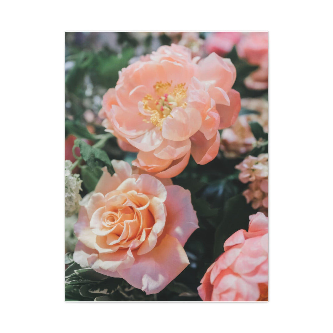 Peach Meadow - Modern Oasis Sensory Design & Art Studio - Canvas
