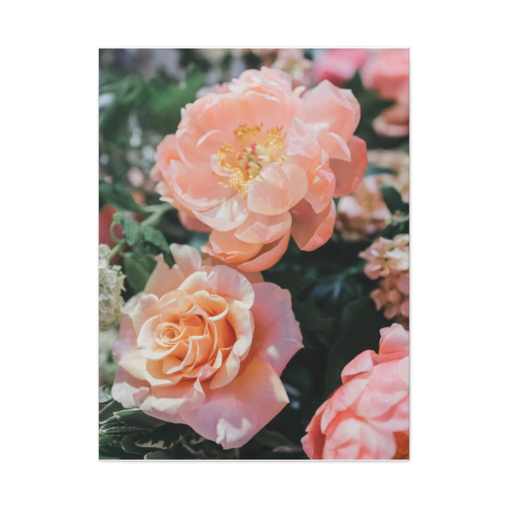 Peach Meadow - Modern Oasis Sensory Design & Art Studio - Canvas
