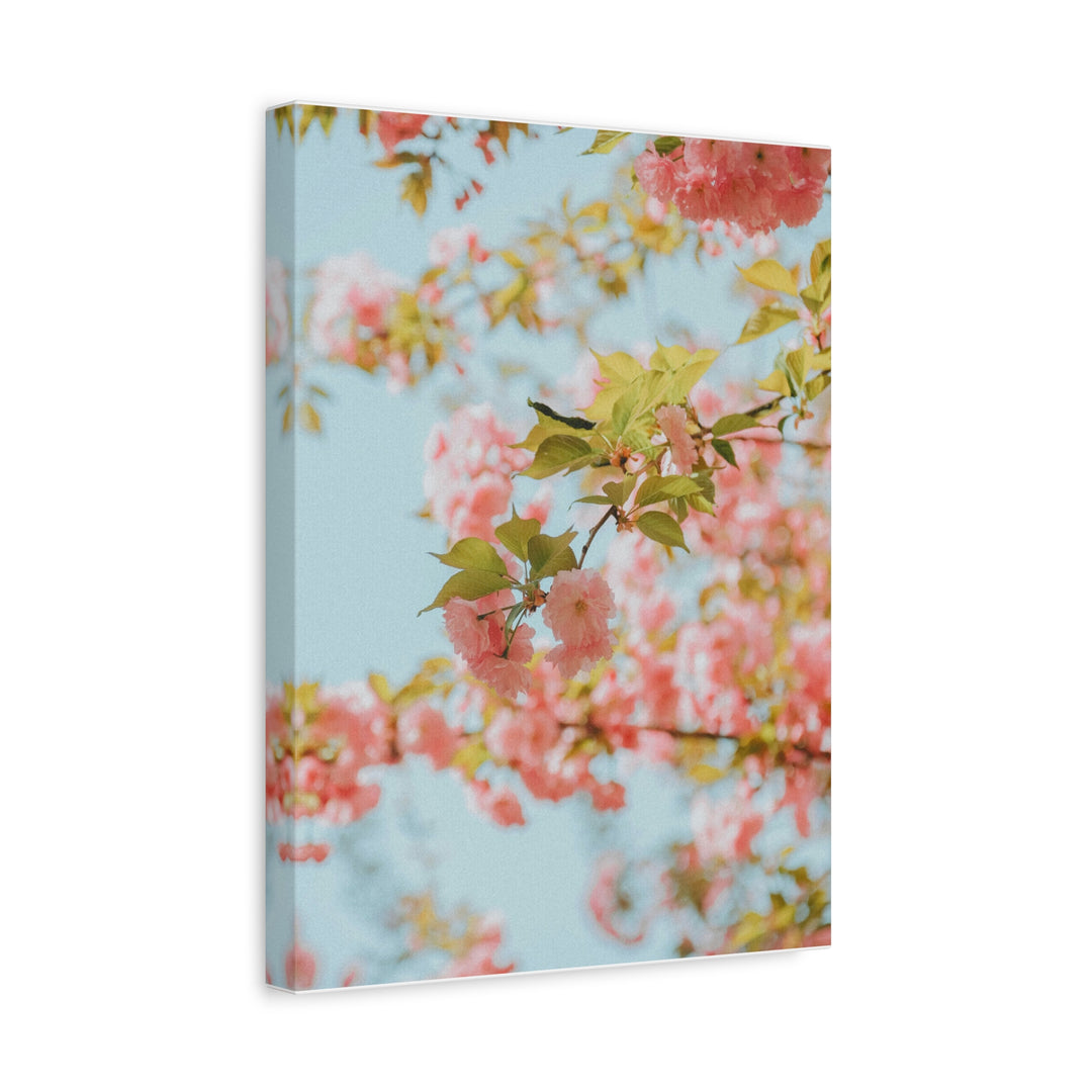 Peace Petals - Modern Oasis Sensory Design & Art Studio - Canvas