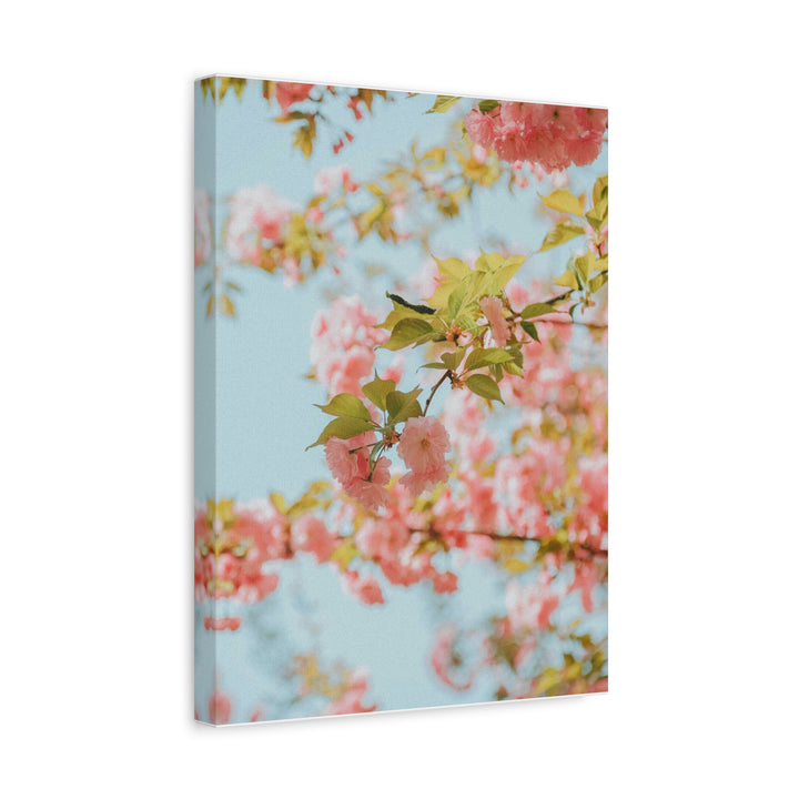 Peace Petals - Modern Oasis Sensory Design & Art Studio - Canvas