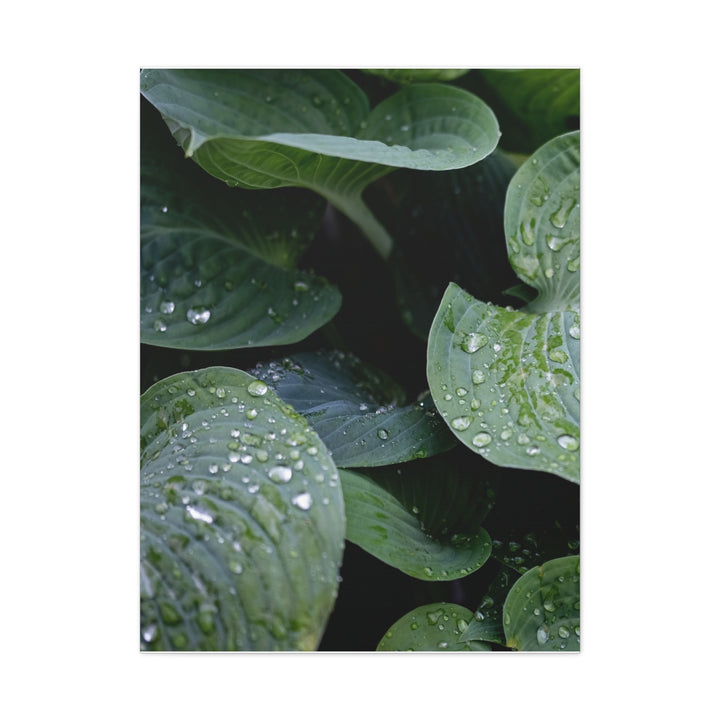 Tranquil Leaves - Modern Oasis Sensory Design & Art Studio - Canvas