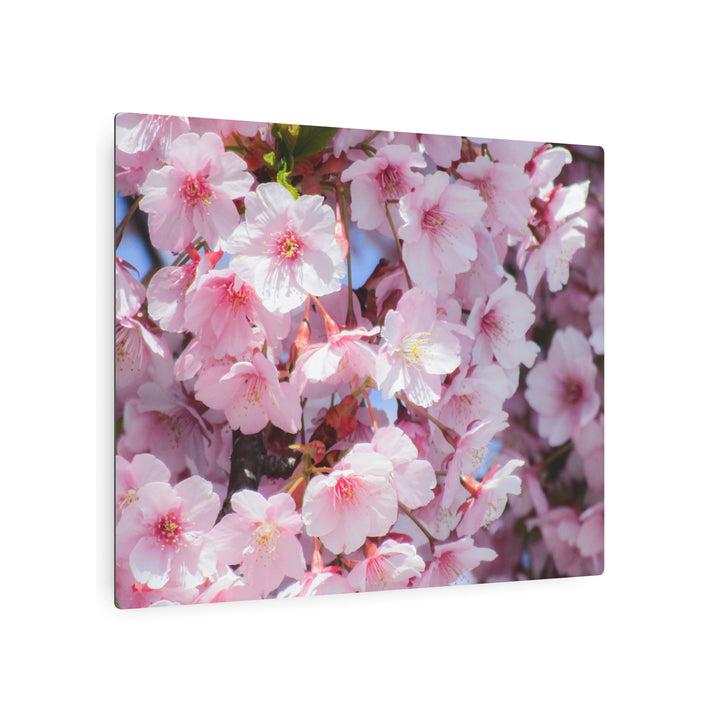 Cherry Blossom Metal Art - Modern Oasis Sensory Design & Art Studio - Home Decor