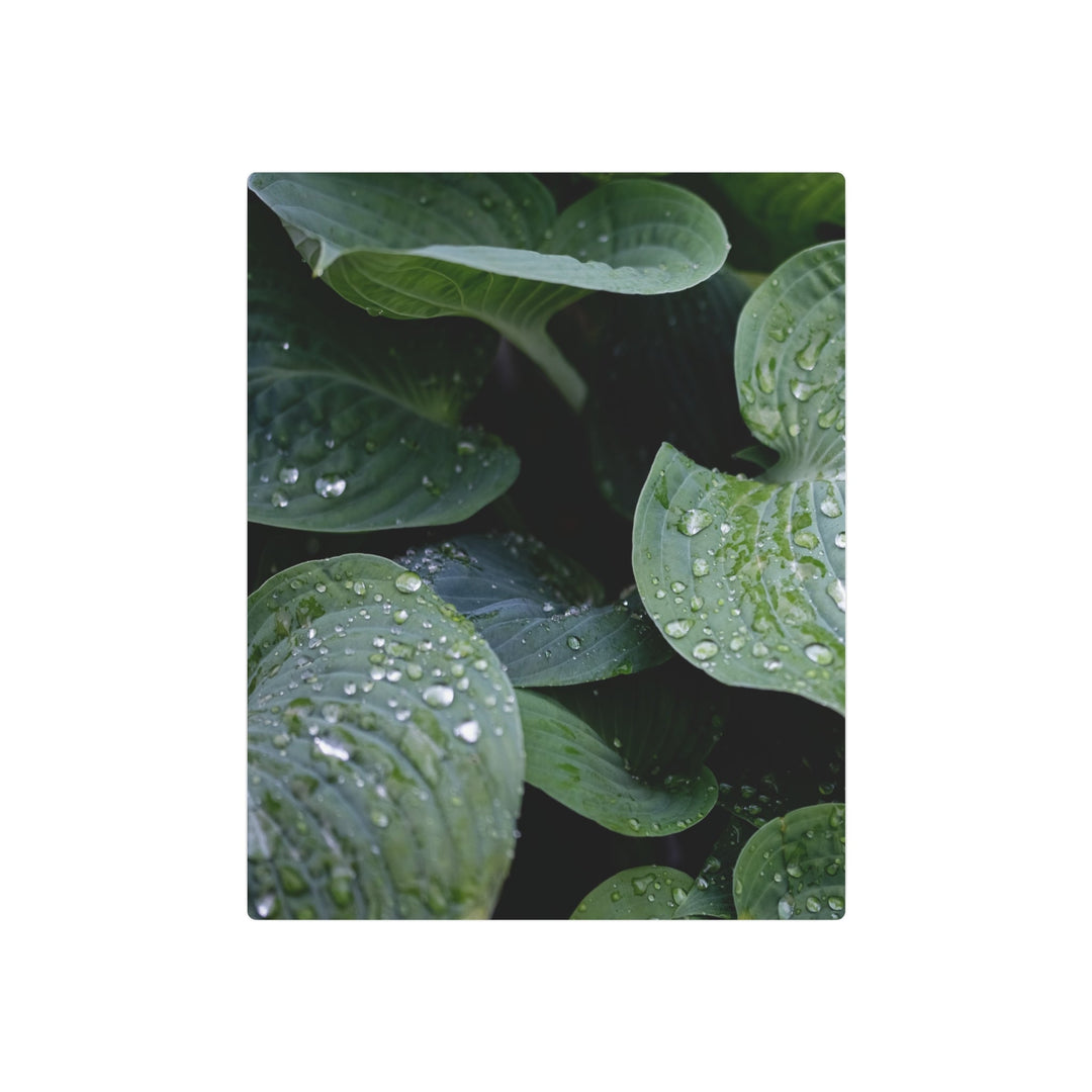Tranquil Leaves Metal Art - Modern Oasis Sensory Design & Art Studio - Home Decor