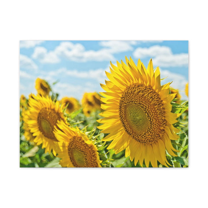 Sunflower Radiance - Modern Oasis Sensory Design & Art Studio - Canvas