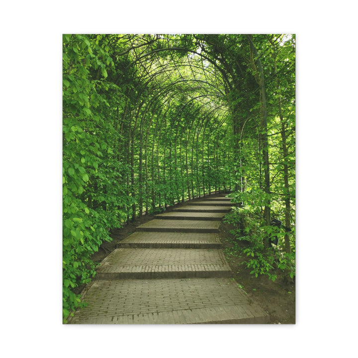 Serene Green Path - Modern Oasis Sensory Design & Art Studio - Canvas