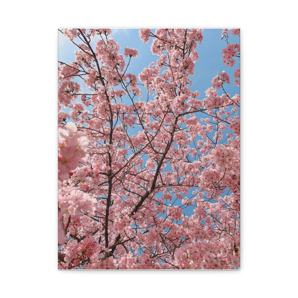 Spring Blossom - Modern Oasis Sensory Design & Art Studio - Canvas