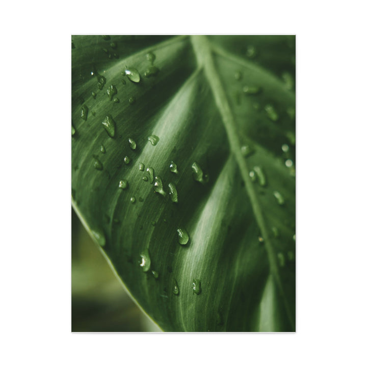 Green Leaf - Modern Oasis Sensory Design & Art Studio - Canvas
