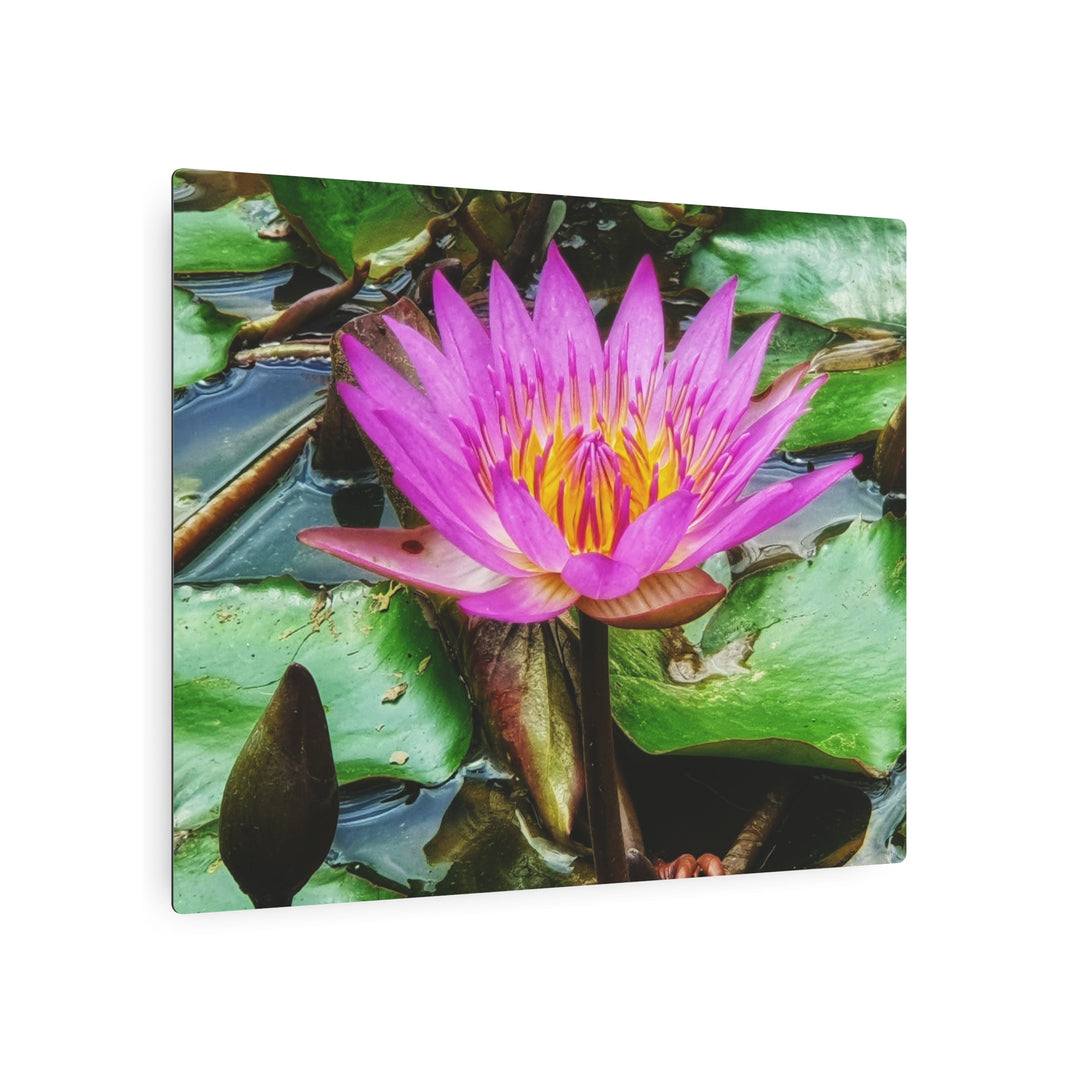 Vibrant Water Lily Metal Art - Modern Oasis Sensory Design & Art Studio - Home Decor