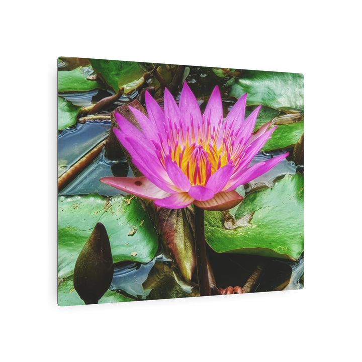 Vibrant Water Lily Metal Art - Modern Oasis Sensory Design & Art Studio - Home Decor
