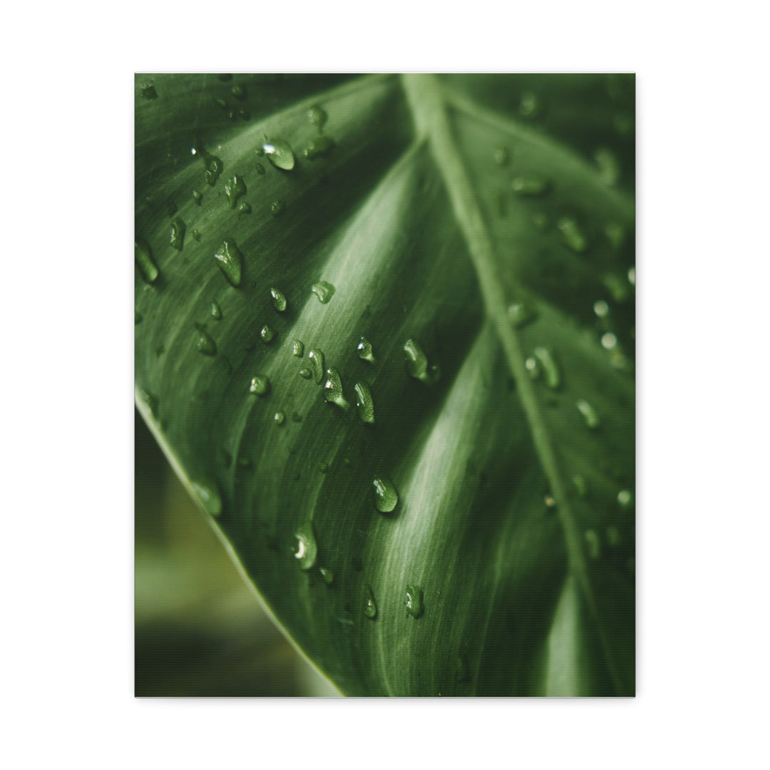 Green Leaf - Modern Oasis Sensory Design & Art Studio - Canvas