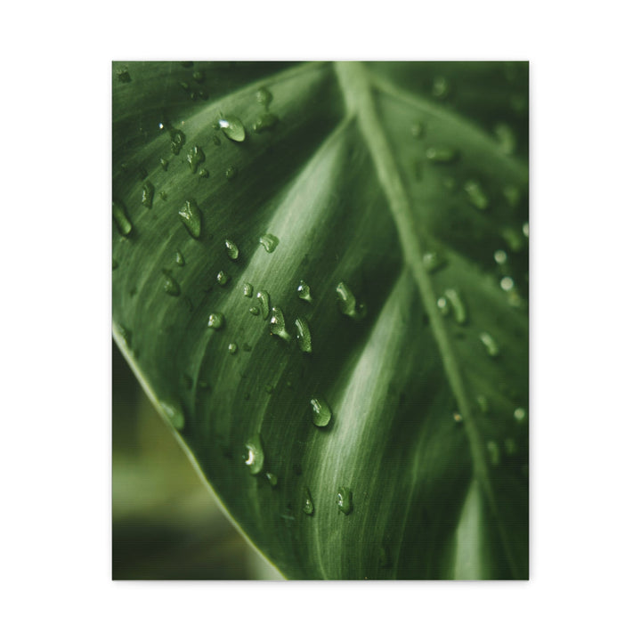 Green Leaf - Modern Oasis Sensory Design & Art Studio - Canvas