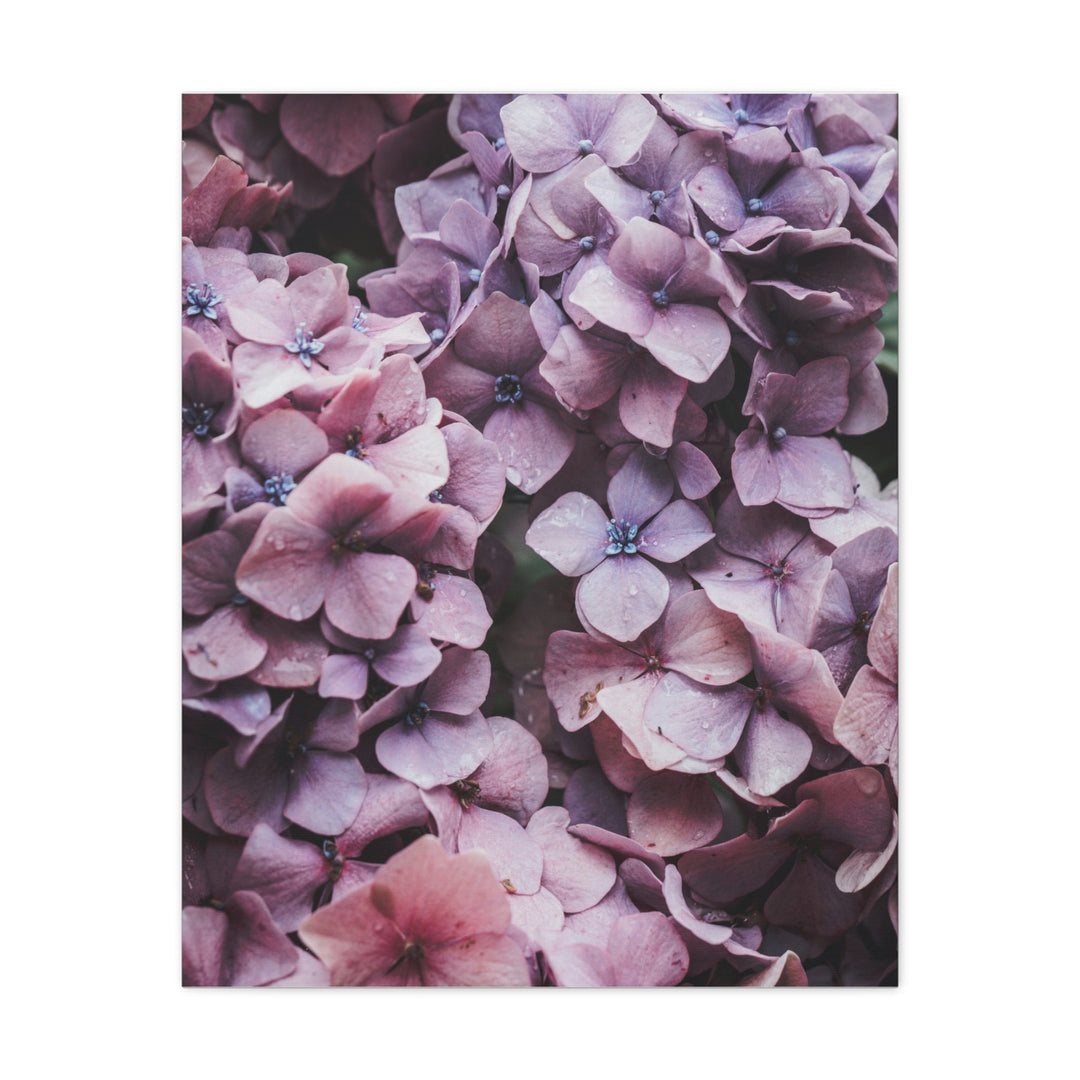 Blooming Purple Flowers - Modern Oasis Sensory Design & Art Studio - Canvas
