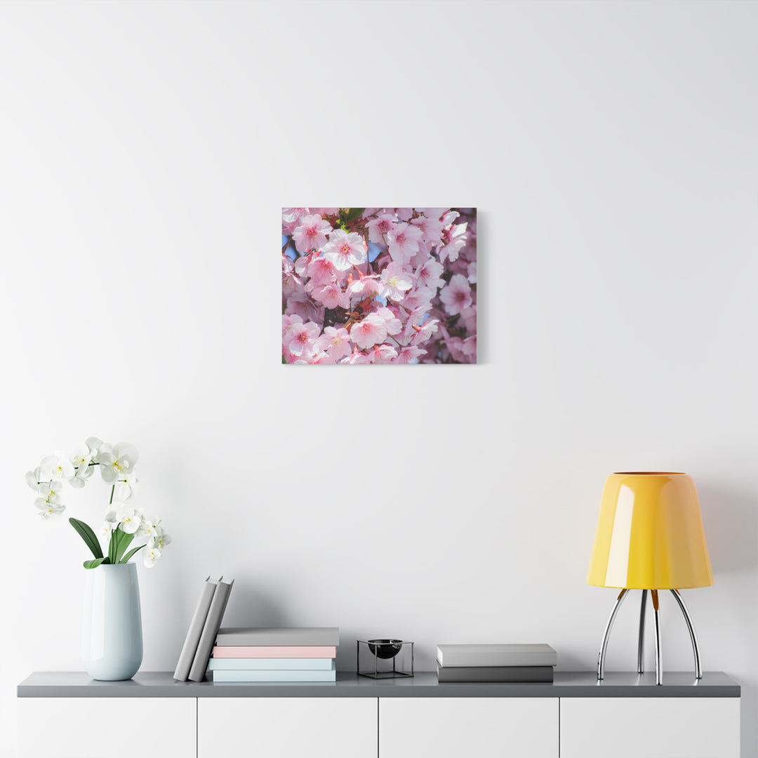 Cherry Blossom - Modern Oasis Sensory Design & Art Studio - Canvas