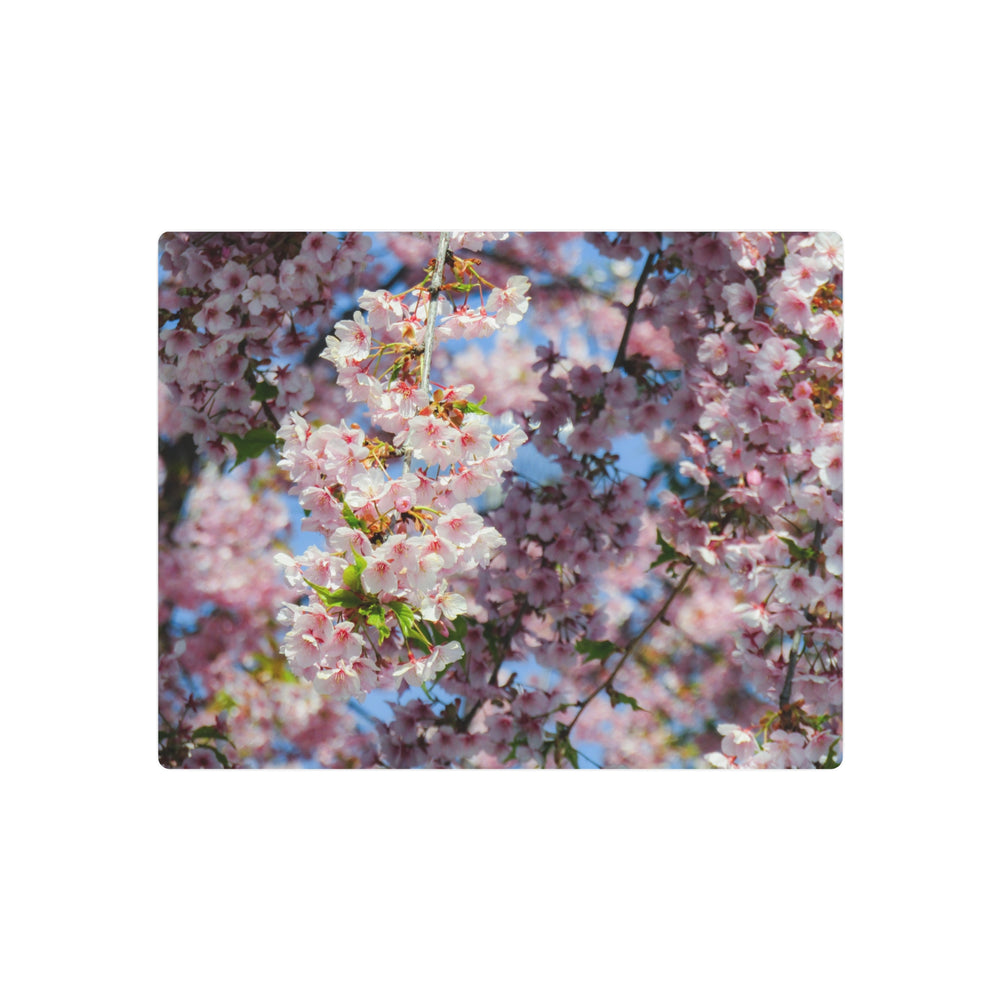 Delicate Blossoms Metal Art - Modern Oasis Sensory Design & Art Studio - Home Decor