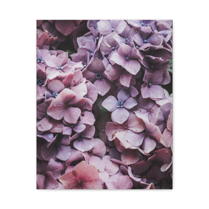 Blooming Purple Flowers - Modern Oasis Sensory Design & Art Studio - Canvas