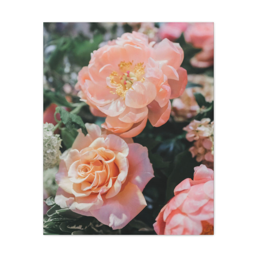 Peach Meadow - Modern Oasis Sensory Design & Art Studio - Canvas