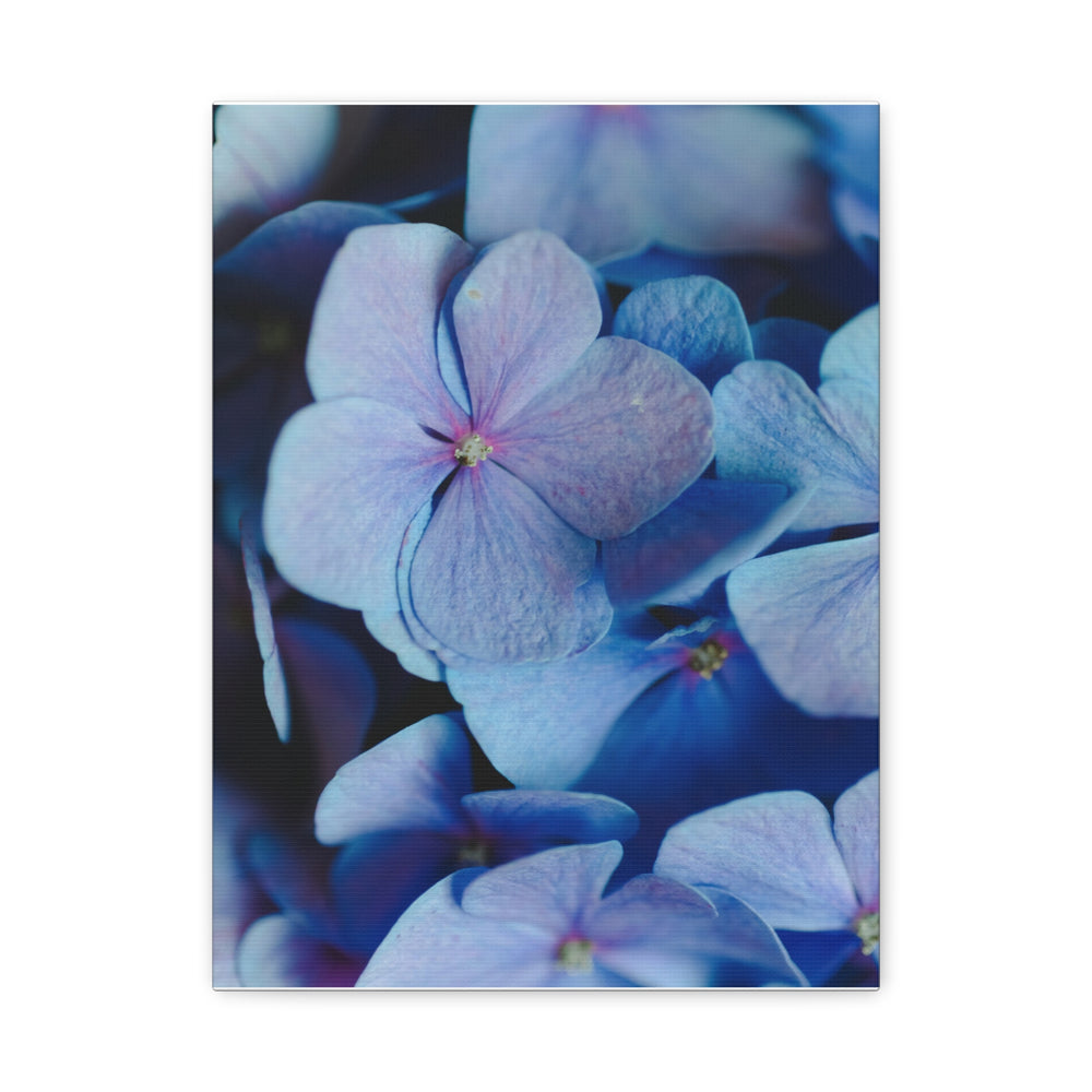Soft Floral Bloom - Modern Oasis Sensory Design & Art Studio - Canvas